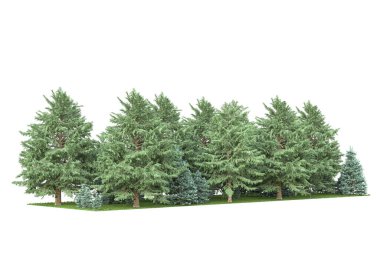 Orman ıssız. Afişler, posterler ya da fotoğraf manipülasyonları için kullanışlı bir görüntü. 3d oluşturma.