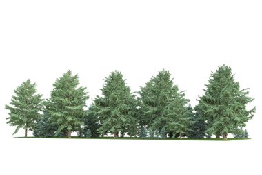 Orman ıssız. Afişler, posterler ya da fotoğraf manipülasyonları için kullanışlı bir görüntü. 3d oluşturma.