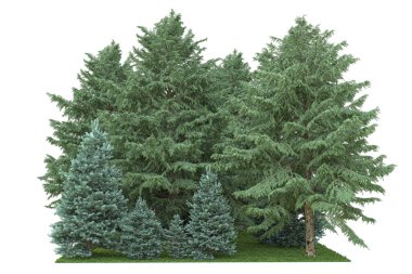 Orman ıssız. Afişler, posterler ya da fotoğraf manipülasyonları için kullanışlı bir görüntü. 3d oluşturma.