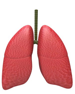 Bilimkurgu akciğerleri arka planda izole edilmiş. Büyük yayınlar ya da baskılar için ideal. 3d görüntüleme - illüstrasyon