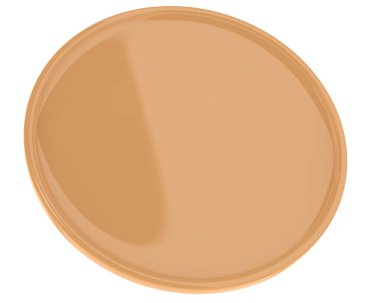 Beyaz arka planda askeri bir kalkanın 3 boyutlu yansıması