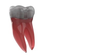 Karikatür dişi arka planda izole edilmiş. 3d görüntüleme, illüstrasyon