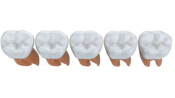 Rysunkowy Ząb Izolowany Tle Renderowanie Ilustracja — Zdjęcie stockowe