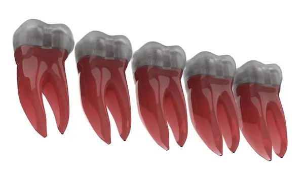 Cartoon Tooth Isolated Background Rendering Illustration — Stock Photo, Image