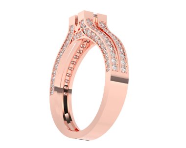 Üç boyutlu değerli yüzük.