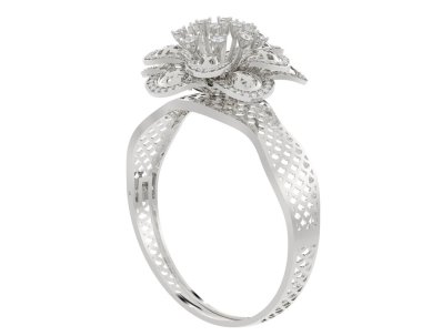 Üç boyutlu değerli yüzük.