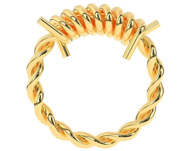 Üç boyutlu değerli yüzük.