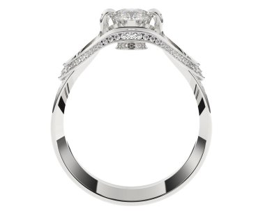 Üç boyutlu değerli yüzük.