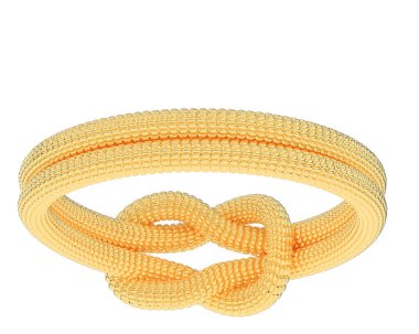 Beyaz arkaplanda izole edilmiş değerli halka     