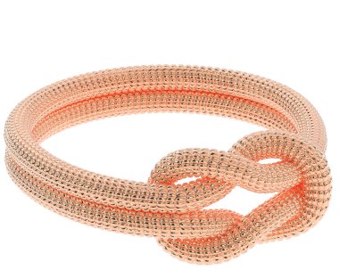 Beyaz arkaplanda izole edilmiş değerli halka     