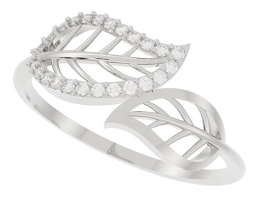 Beyaz arkaplanda izole edilmiş değerli halka     