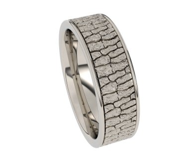 Beyaz arkaplanda izole edilmiş değerli halka     