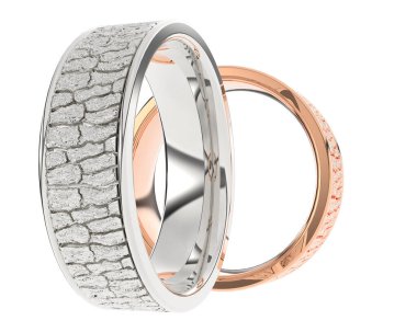 Halkalar beyaz arka planda