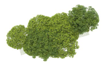 beyaz zemin üzerine yeşil ağaçlar