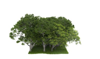 beyaz zemin üzerine yeşil ağaçlar