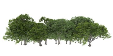 Orman ıssız. Afişler, posterler ya da fotoğraf manipülasyonları için kullanışlı bir görüntü. 3d oluşturma.