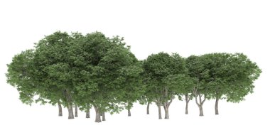 Orman ıssız. Afişler, posterler ya da fotoğraf manipülasyonları için kullanışlı bir görüntü. 3d oluşturma.