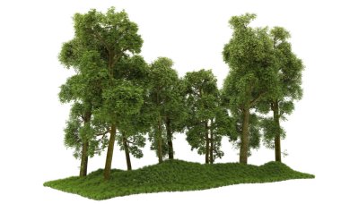 Orman ıssız. Afişler, posterler ya da fotoğraf manipülasyonları için kullanışlı bir görüntü. 3d oluşturma.