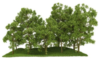 Orman ıssız. Afişler, posterler ya da fotoğraf manipülasyonları için kullanışlı bir görüntü. 3d oluşturma.