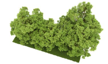 Orman ıssız. Afişler, posterler ya da fotoğraf manipülasyonları için kullanışlı bir görüntü. 3d oluşturma.