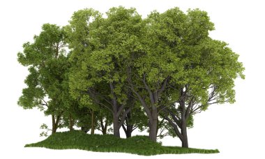 Orman ıssız. Afişler, posterler ya da fotoğraf manipülasyonları için kullanışlı bir görüntü. 3d oluşturma.