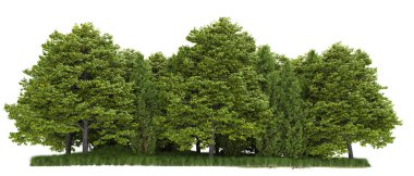 Orman ıssız. Afişler, posterler ya da fotoğraf manipülasyonları için kullanışlı bir görüntü. 3d oluşturma.