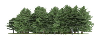 beyaz zemin üzerine yeşil ağaçlar