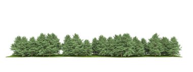 beyaz zemin üzerine yeşil ağaçlar