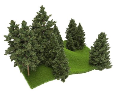 Orman ıssız. Afişler, posterler ya da fotoğraf manipülasyonları için kullanışlı bir görüntü. 3d oluşturma.