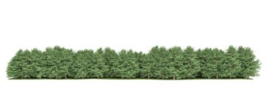 Orman ıssız. Afişler, posterler ya da fotoğraf manipülasyonları için kullanışlı bir görüntü. 3d oluşturma.