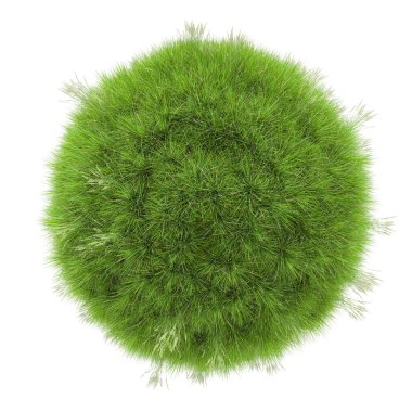 Çimenler beyaz arka planda izole edilmiş. 3d görüntüleme - illüstrasyon