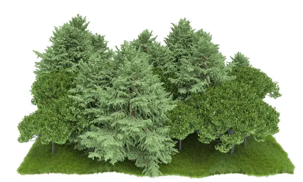 Orman ıssız. Afişler, posterler ya da fotoğraf manipülasyonları için kullanışlı bir görüntü. 3d oluşturma.