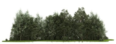 Orman ıssız. Afişler, posterler ya da fotoğraf manipülasyonları için kullanışlı bir görüntü. 3d oluşturma.