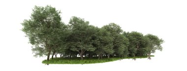 Orman ıssız. Afişler, posterler ya da fotoğraf manipülasyonları için kullanışlı bir görüntü. 3d oluşturma.