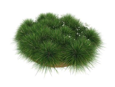 Çimenler beyaz arka planda izole edilmiş. 3d görüntüleme - illüstrasyon