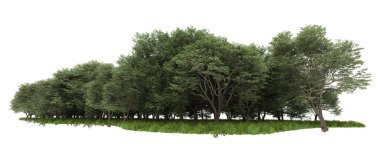 beyaz zemin üzerine yeşil ağaçlar