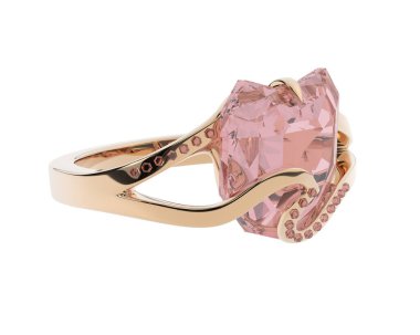 Beyaz arkaplanda izole edilmiş değerli halka     