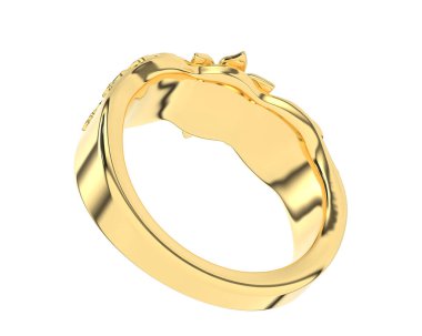 Beyaz arkaplanda izole edilmiş değerli halka     