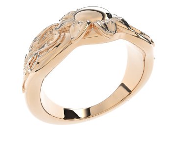 Beyaz arkaplanda izole edilmiş değerli halka     