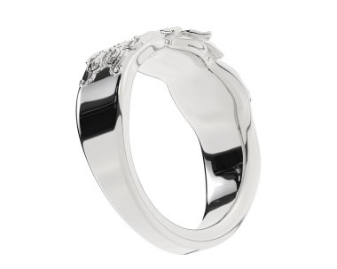 Beyaz arkaplanda izole edilmiş değerli halka     