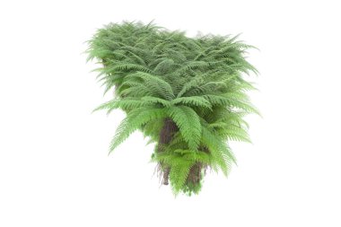 Arka planda izole tropikal orman. 3d görüntüleme - illüstrasyon