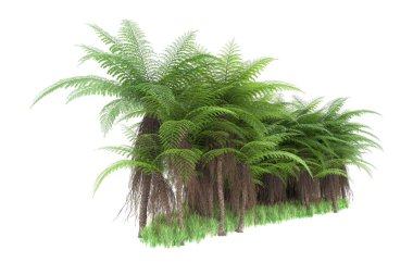 Arka planda izole tropikal orman. 3d görüntüleme - illüstrasyon