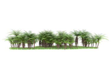 Arka planda izole tropikal orman. 3d görüntüleme - illüstrasyon