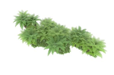 Arka planda izole tropikal orman. 3d görüntüleme - illüstrasyon