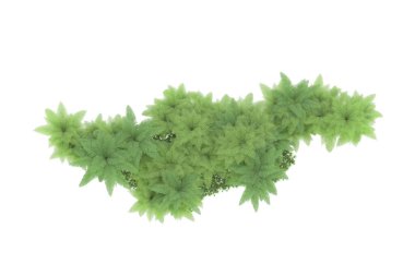 Arka planda izole tropikal orman. 3d görüntüleme - illüstrasyon