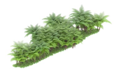 Arka planda izole tropikal orman. 3d görüntüleme - illüstrasyon