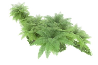 Arka planda izole tropikal orman. 3d görüntüleme - illüstrasyon