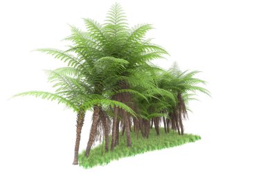 Arka planda izole tropikal orman. 3d görüntüleme - illüstrasyon