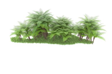 Arka planda izole tropikal orman. 3d görüntüleme - illüstrasyon