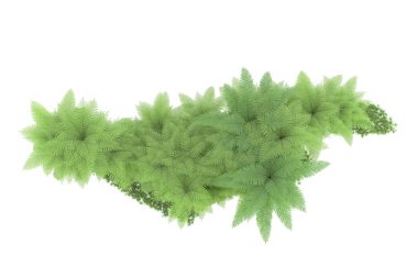 Arka planda izole tropikal orman. 3d görüntüleme - illüstrasyon